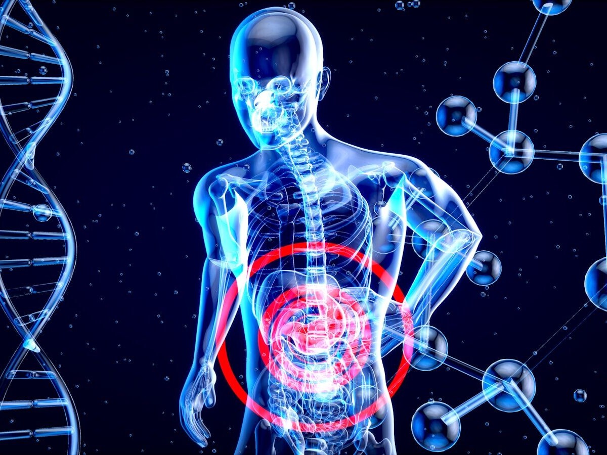 a 3d image of a human with a red circle in his stomach